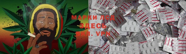 ПСИЛОЦИБИНОВЫЕ ГРИБЫ Алексеевка
