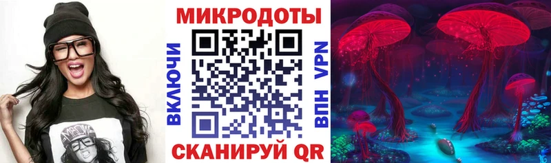 Галлюциногенные грибы Psilocybe  shop Telegram  Камышин 