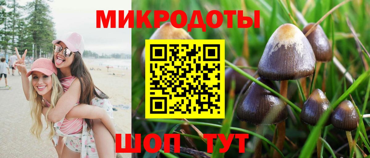 Псилоцибиновые грибы Psilocybe  Вход с VPN  Камышин  Галлюциногенные грибы GOLDEN TEACHER 