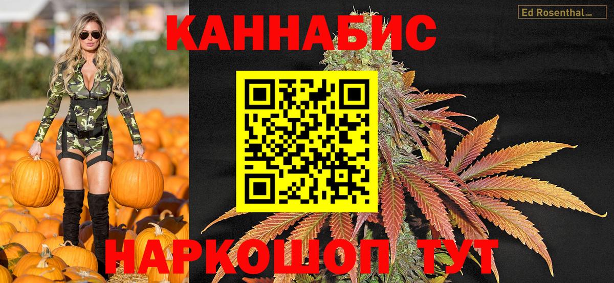 Камышин  Марихуана марихуана  Шишки марихуана MAZAR  Шишки марихуана семена  Вход с VPN 